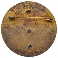 1954. "Magyar Partizán Emlékérem" aranyozott, zománcozott, számozott kitüntető jelvény, há...