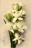 Flowers, Martin Rommel & Co. No. 635 (EK)