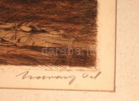 Udvary Pál (1900-1987): Hazafelé, színezett rézkarc, papír, jelzett, üvegezett fa keretben, 23×30,5 ...