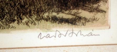 Zádor István (1882-1963): Gémeskút.  Rézkarc, papír, jelzett, üvegezett keretben, 21×34 cm