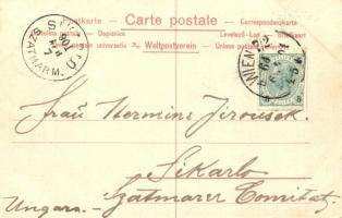 Vienna, Wien. Albrechtsbrunnen, Verlag E. Storch litho s: Bienert