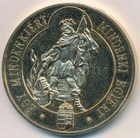 1995. "Magyar Tűzoltószövetség - Jubileumi Emlékérem" aranyozott fém emlékérem (43mm) T:2 ...