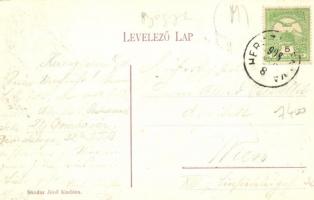 Hercegfalva (Mezőfalva); gyógyszertár, kiadja Sándor Jenő (EK)