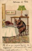 1899 Pig eating meat, bizarre, litho
