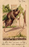 1899 Pig playing, litho