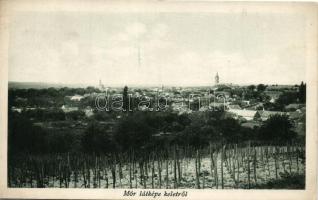 Mór, látkép keletről