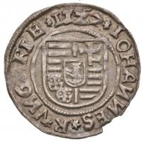 1527. Denár Ag "Szapolyai János" (0.48g) T:2 kis ki.
Huszár 881., Unger I.: 699.a