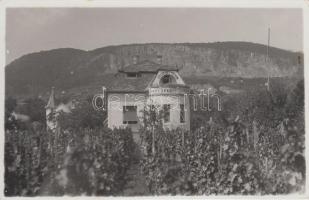 1933 Badacsonytomaj, Erzsébet otthon, készült a Hungária fényképészeti műteremben, photo (EK)
