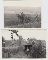 cca 1920-1930 Szántás és cséplés, 2 db fotó, 8x11 és 9x14 cm
