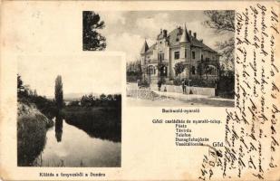 Göd, Buchwald nyaraló, kilátás a Fenyvesből a Dunára (EK)