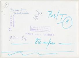 Vida Andárs: Fakutyázók a Balaton jegéből, pecséttel jelzett fotó, 13x18 cm