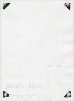 "Alkotás közben", festő a Balaton-parton alkotás közben, hátoldalon feliratozott fotó, 23x...