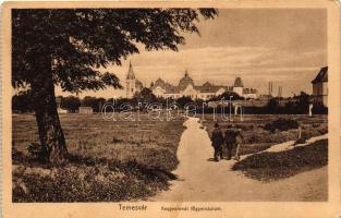 Temesvár, Timisoara; Kegyesrendi főgimnázium / grammar school (EK)