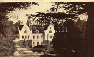 Mikosszéplak, Mikosd-kastély (vágott / cut)