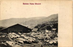 Almásmező, Pojána-Mörul, Poiana Marului; fűrésztelep / saw mill