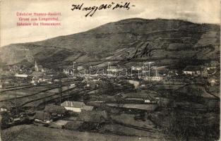 Hosszúaszó, Valea Lunga; látkép, kiadja Michael Simonis / general view (EB)