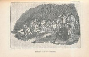 Szívos Béla: Nansen utazása lábszánkón Grönlandon keresztül. Bp., 1911, Franklin Társulat. Számos ér...