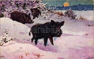 7 db RÉGI vadász motívumú képeslap, vegyes minőség / 7 old hunting motive cards, mixed quality