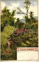 7 db RÉGI vadász motívumú képeslap, vegyes minőség / 7 old hunting motive cards, mixed quality