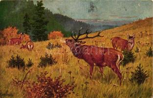 6 db RÉGI vadász motívumú képeslap, vegyes minőség / 6 old hunting motive cards, mixed quality