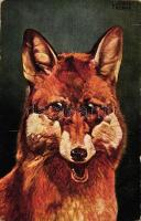 6 db RÉGI vadász motívumú képeslap, vegyes minőség / 6 old hunting motive cards, mixed quality