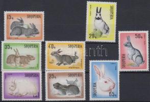 Rabbits set, Nyúl sor