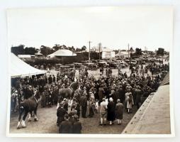 cca 1930 Ausztrália 23 db nagyméretű, feliratozott fotó az országról, benne tájképek és mozgalmas vá...