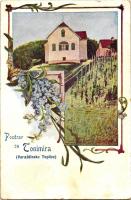 Varasdfürdő, Warasdin-Töplitz, Varazdinske-Toplice; Tonimira Villa, floral, Art Nouveau (kis szakadás / small tear)