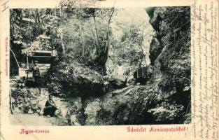 Kovácspatak, Ámor-forrás, kiadja Wallfisch S. / fountain (EK)