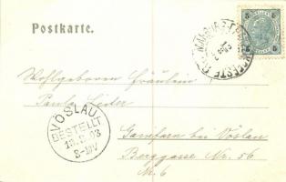 Maribor, Marburg a. d. Drau; Hauptplatz und Rathaus / main square, town hall, shops