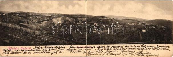 Gyalár, Ghelari; látkép / general view, panoramacard (hajtásnál elvált / bent 'til broken)