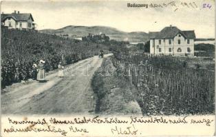 Badacsony, út, villák, szőlő földek (EB)