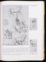 Leonardo da Vinci. Az életmű legátfogóbb ismertetése angol nyelven, 1635 illusztrációval és 20 egész...