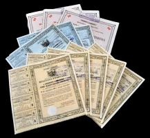 Budapest 1925. "Rimamurány-Salgó-Tarjáni Vasmű Részvény-Társaság Budapesten" részvényutalv...