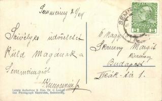 Dr. Karl Lueger's letzter Besuch im Hotel Panhans, Semmering 1909 / Lueger's last visit to...