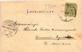 1902 Versec, Vrsac; Ipar- és mezőgazdasági kiállítás, kiadja Daikovits fényképész / Industrial and A...