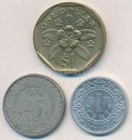 Vegyes: Suriname 1976. 25c Cu-Ni + 1977. 1c Al + Szingapúr 1988. 1$ Al-Br T:2 Mixed: Suriname 1976. 25 Cents Cu-Ni + 1977. 1 Cent Al + Singapore 1988. 1 Dollar Al-Br C:XF