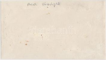 cca 1914-1918 Arad, városligeti katonai kórház, hátulján feliratozva, 13×22,5 cm