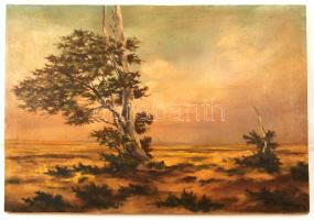 Spányi jelzéssel: Alföldi táj. Olaj, vászon, 40×58 cm