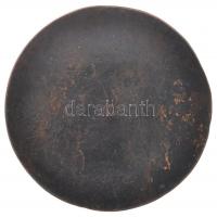 Német Államok / Nürnberg 1569. "Sebalt Haller zu Hallerstein" egyoldalas Br érem mesterjeg...