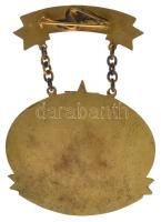 ~1955. "Országos Vízügyi Főigazgató / A Vízgazdálkodás Kiváló Dolgozója" aranyozott, zomán...