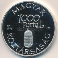 1995. 1000Ft Ag "Régi dunai hajók III - Hableány" T:PP kis ujjlenyomat
Adamo EM139
