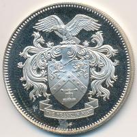 Amerikai Egyesült Államok 1979. "Franklin Verde Éremgyűjtő Egyesület" Ag emlékérem (6.95g/...