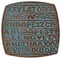 ~1964. "A Budapesti Lengyel Kultúra XXV. évfordulója" Br plakett eredeti tokban (77,5x80mm...