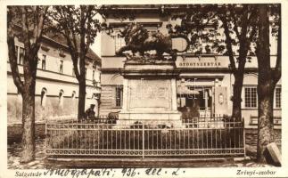 Szigetvár, Zrínyi-szobor, gyógyszertár