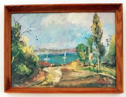 Bánfi jelzéssel: Csopak kilátás a Balatonra. Olaj, karton, üvegezett keretben, 22×32 cm