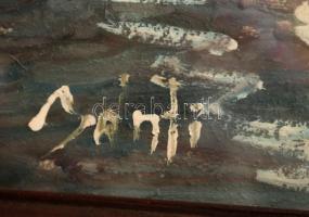 Bánfi jelzéssel: Balatoni vitorlás verseny. Olaj, karton, üvegezett keretben, 22×32 cm