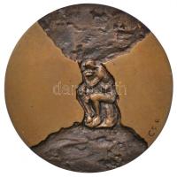 Csíkszentmihályi Róbert (1940-) 1973. "Eötvös Loránd-díj" Br érem eredeti tokban (67mm) T:...