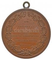 Ausztria 1864. "A porosz-osztrák-dán háborúban elesettek emlékére" kétoldalas Br érem füll...