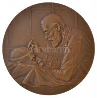 Német Birodalom 1902. "Rudolf Virchow" kétoldalas Br érem. Szign.: Richard Placht (60mm) T...